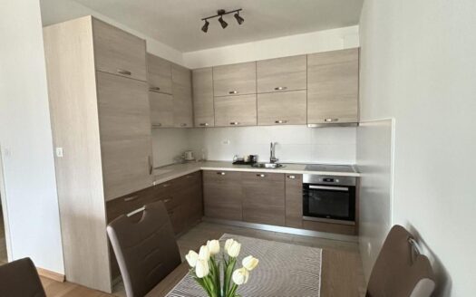 Two bedroom apartment for rent, Blok 9, Podgorica