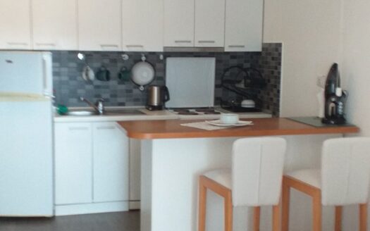 One bedroom apartment for rent, Rozino, Budva