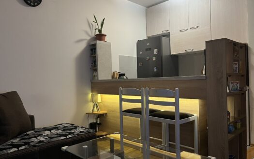 One bedroom apartment for rent, Tuški put, Podgorica