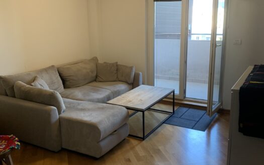 One bedroom apartment for rent, Preko Morače, Podgorica