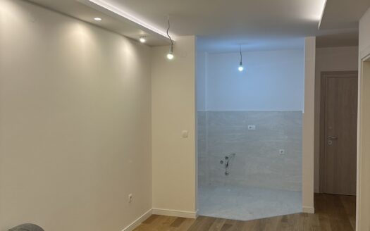 One bedroom apartment for sale, Central Point, Podgorica