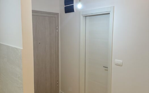 One bedroom apartment for sale, Central Point, Podgorica