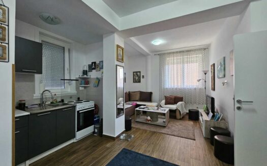 One bedroom apartment for sale, Ibričevina, Podgorica