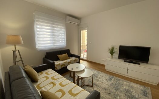 Two bedroom apartment for rent, New city, Podgorica