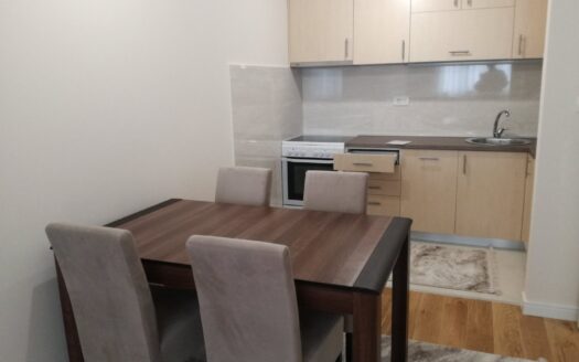 One bedroom apartment for rent, Central Point, Podgorica