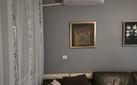 One bedroom apartment for rent, Preko Morače, Podgorica