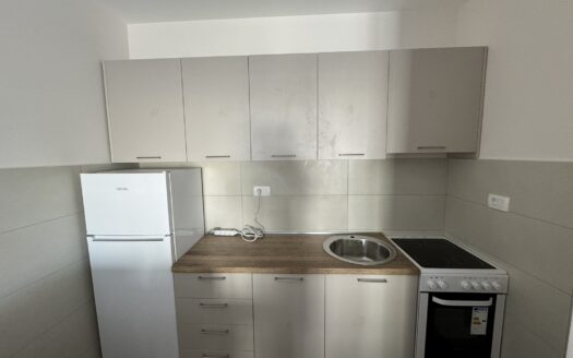 One bedroom apartment for rent, Pobrežje, Podgorica