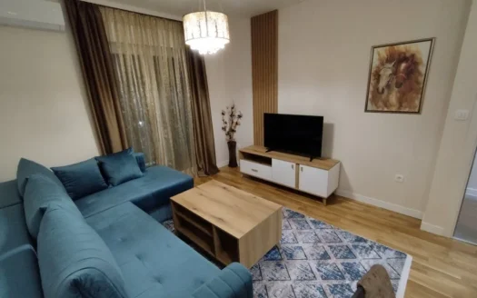 One bedroom apartment for rent, Pobrežje, Podgorica