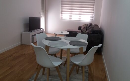 One bedroom apartment for rent, Central Point, Podgorica