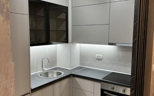 One bedroom apartment for rent, Central Point, Podgorica