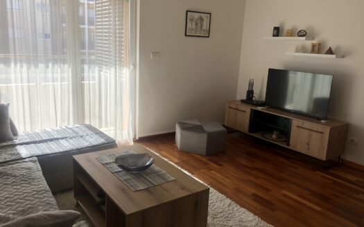 One bedroom apartment for rent and sale, City kvart, Podgorica