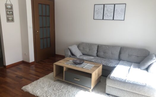 One bedroom apartment for rent and sale, City kvart, Podgorica