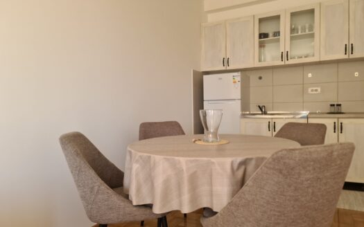 One bedroom apartment for rent, Donja Gorica, Podgorica