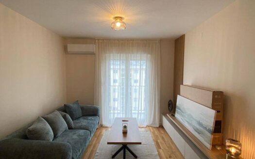 One bedroom apartment for rent, Pobrežje, Podgorica