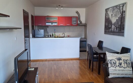 One bedroom apartment for rent, Preko Morače, Podgorica