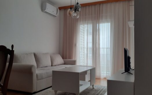 One bedroom apartment for rent, Stara Varoš, Podgorica