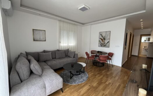 Two bedroom apartment for rent, Stari Aerodrom, Podgorica