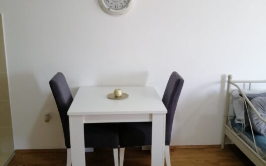 One bedroom apartment for rent, Tuški put, Podgorica