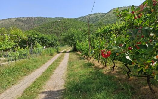 House for rent, Bioče, Podgorica