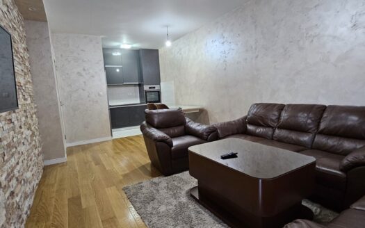 One bedroom apartment for rent, Central Point, Podgorica