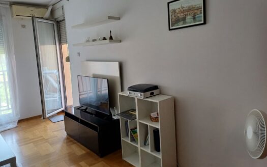 One bedroom apartment for rent, Krivi most, Podgorica