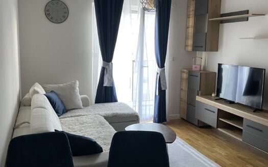 One bedroom apartment for rent, Pobrežje, Podgorica