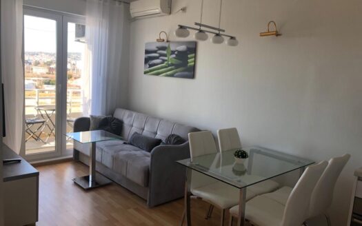 One bedroom apartment for rent, Stari Aerodrom, Podgorica