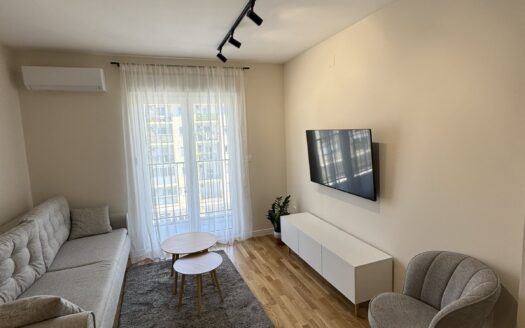 One bedroom apartment for rent, Tuški put, Podgorica