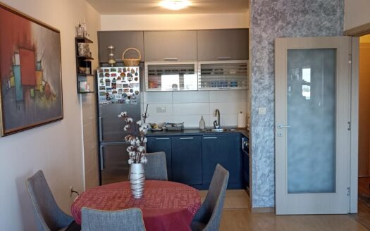 One bedroom apartment for rent, City kvart, Podgorica