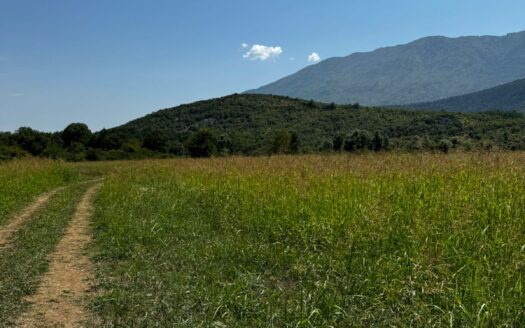 Plac na prodaju, Danilovgrad