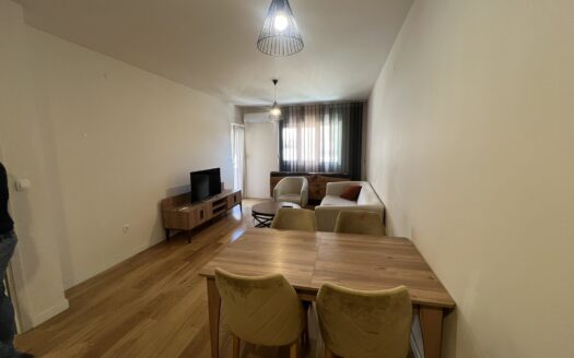 One bedroom apartment for rent, Central Point, Podgorica