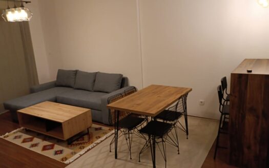 One bedroom apartment for rent, Master kvart, Podgorica