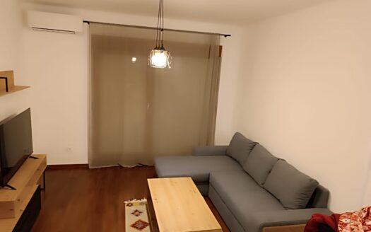 One bedroom apartment for rent, Master kvart, Podgorica