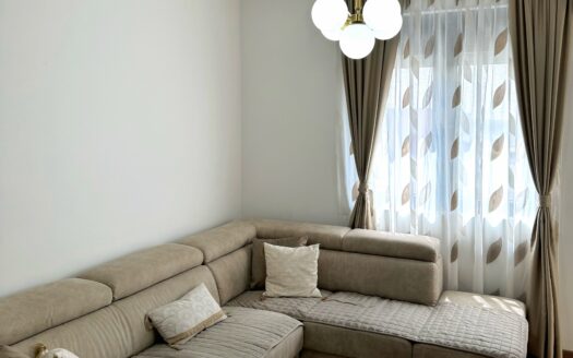 One bedroom apartment for rent, New City, Podgorica