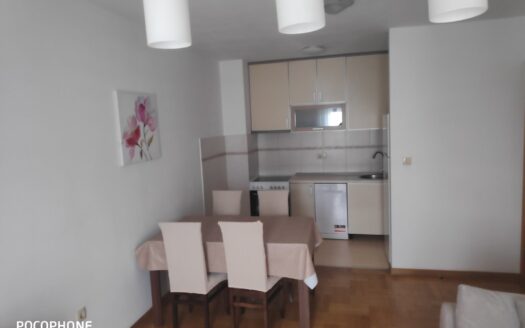 Two bedroom apartment for rent, Stari Aerodrom, Podgorica