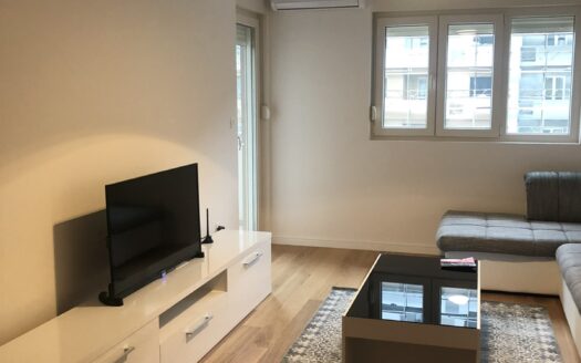 Two bedroom apartment for rent, Central Point, Podgorica