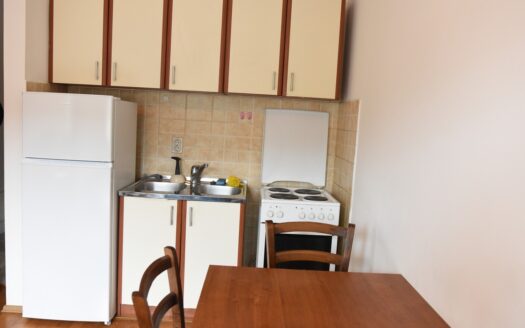 One bedroom apartment for rent, Pobrežje, Podgorica