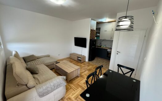 One bedroom apartment for rent, Zabjelo, Podgorica