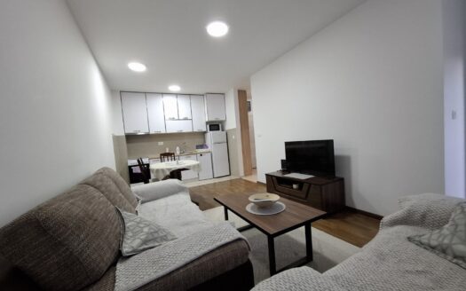 One bedroom apartment for rent, Zabjelo, Podgorica