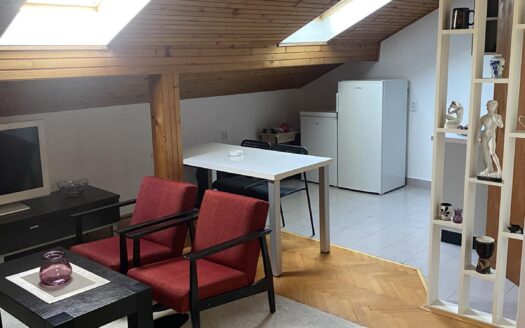 Two bedroom apartment for rent, Momišići, Podgorica