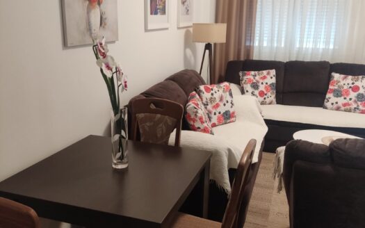 One bedroom apartment for rent, Zabjelo, Podgorica