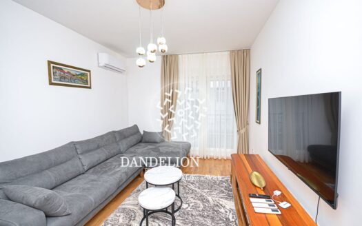 Two bedroom apartment for rent, Stara Varoš, Podgorica