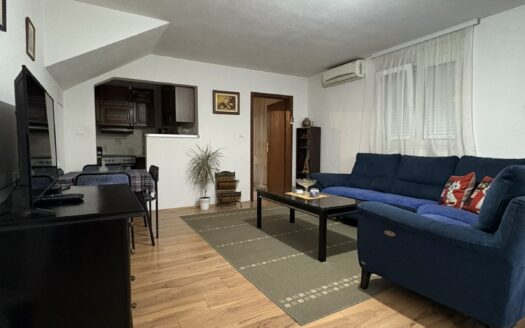 One bedroom apartment for rent, Zagorič, Podgorica