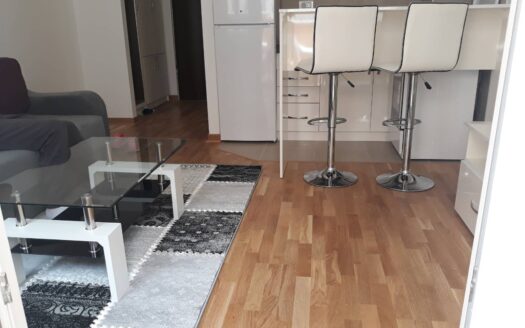 Studio apartment for rent, City kej, Podgorica