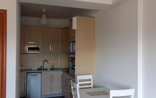 One bedroom apartment for rent, Krivi most, Podgorica