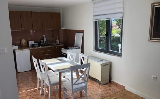 Two bedroom apartment for rent, Momišići, Podgorica