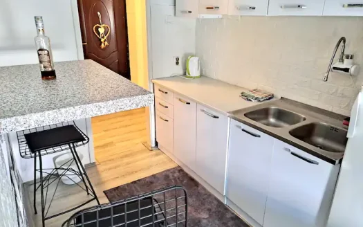 One bedroom apartment for rent, Preko Morače, Podgorica