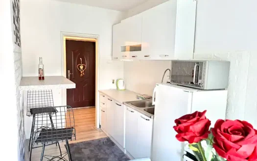 One bedroom apartment for rent, Preko Morače, Podgorica