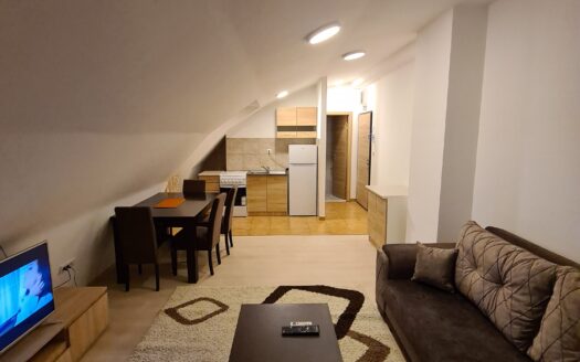 One bedroom apartment for rent, Zabjelo, Podgorica