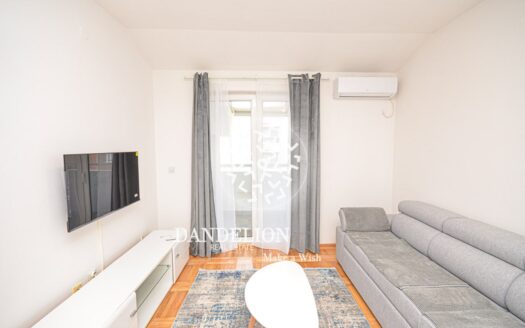 Two bedroom apartment for rent, Stari Aerodrom, Podgorica